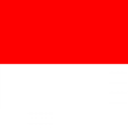 Canton flag Solothurn 60 cm x 60 cm
