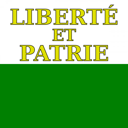 Bandiera Canton Vaud 90 cm x 90 cm