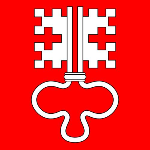 fahne-kanton-nidwalden-120-cm-x-120-cm-2661
