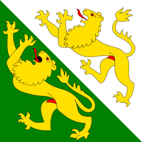 Fahne Kanton Thurgau  90 cm x 90 cm