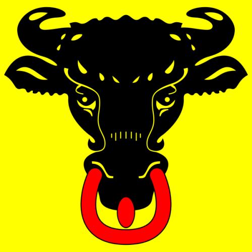 flag-canton-uri-90cm-x-90-cm-2859