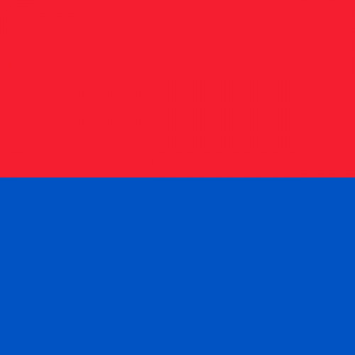 Flag Canton Ticino 90 cm x 90 cm