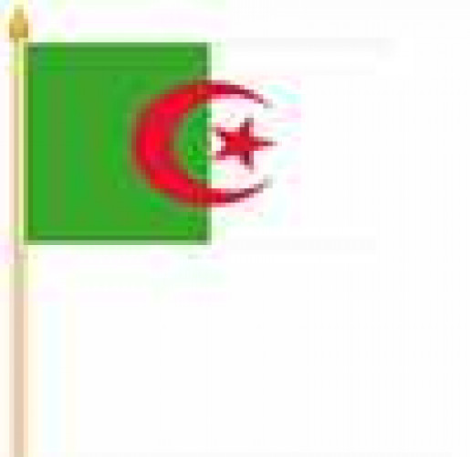Stockfahne Algerien